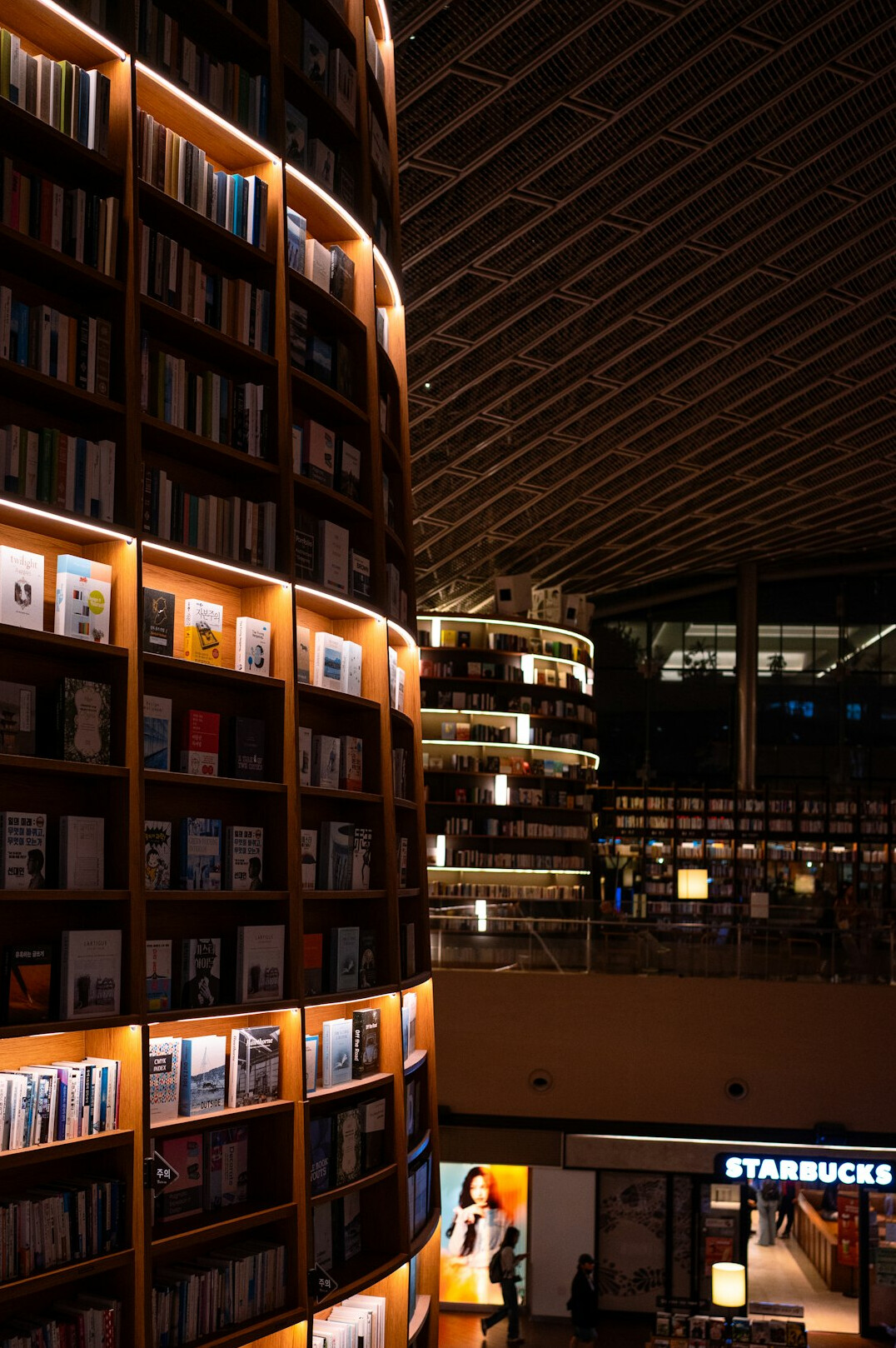 Quiet library interior with tall shelves and warm light