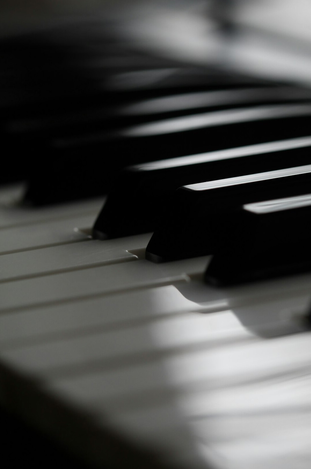 Close-up of piano keys in warm light
